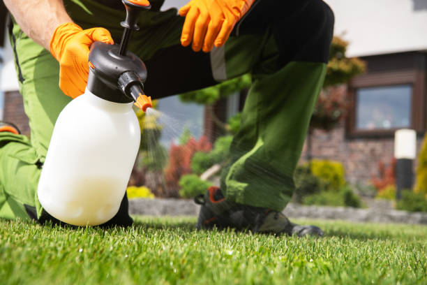Pest Control Cost in West Linn, OR
