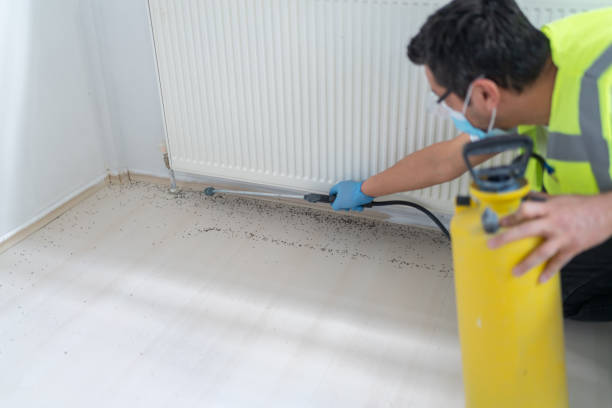 Best Residential Pest Control  in West Linn, OR